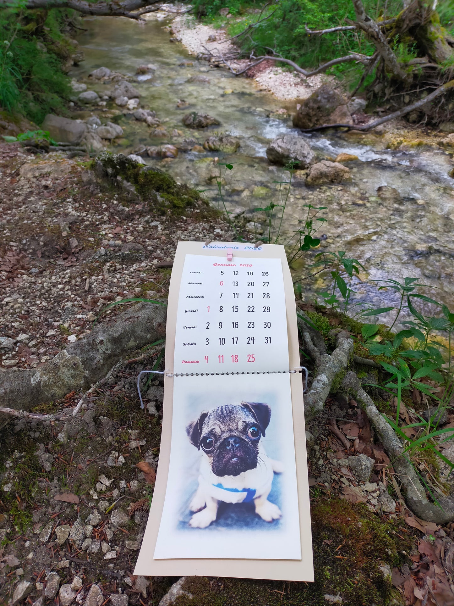 Calendario Cane
