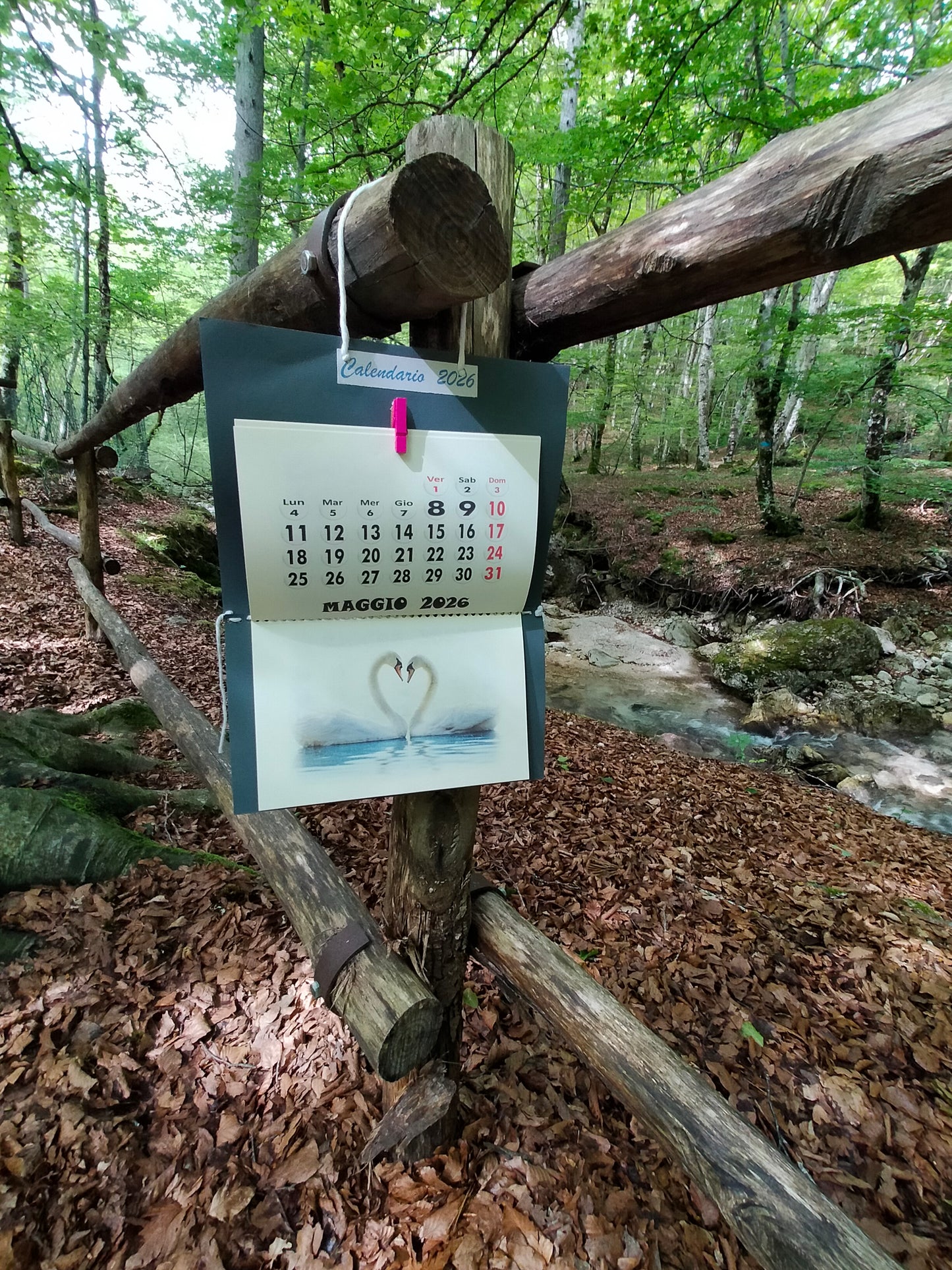 Calendario Animali