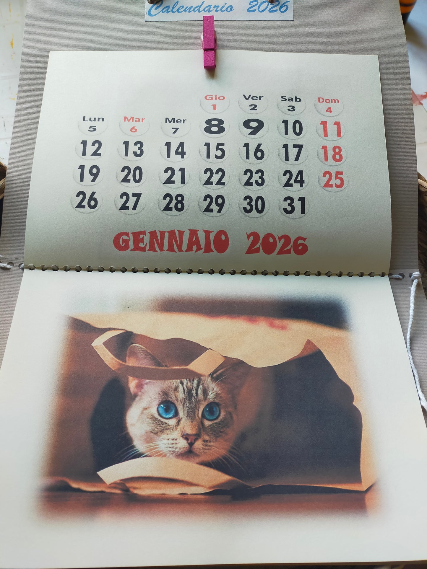 Calendario Gatto