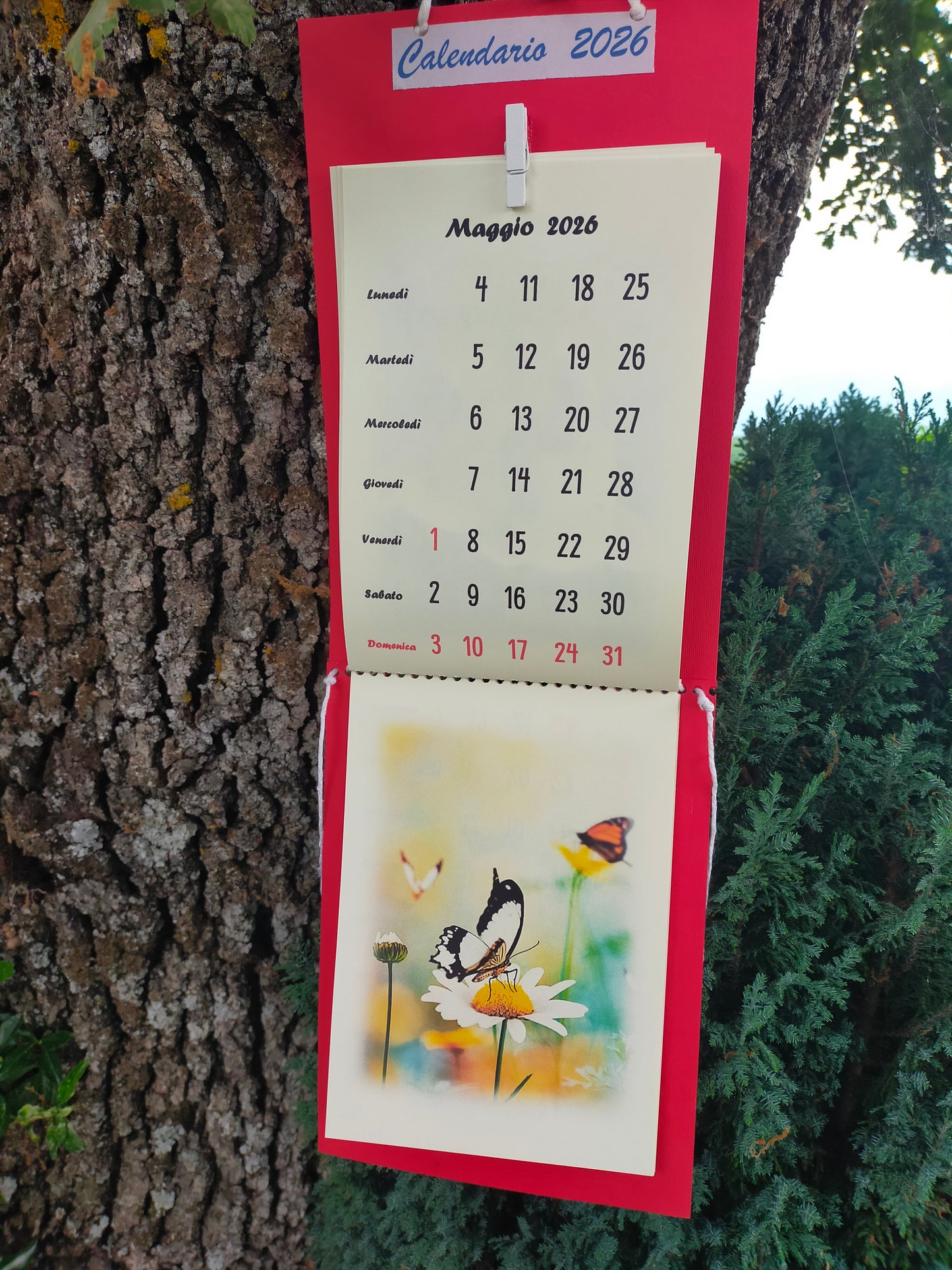 Calendario Animali