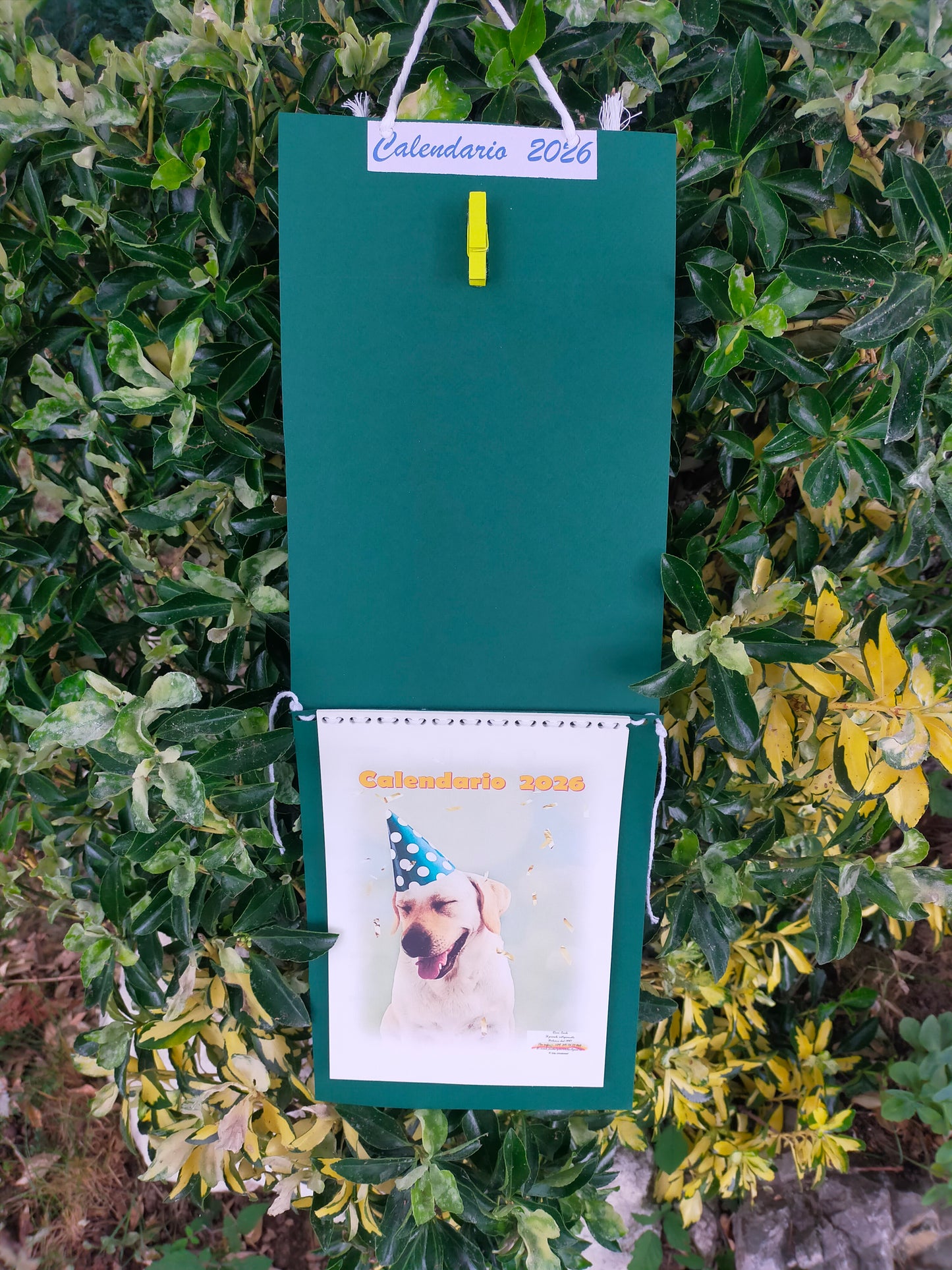 Calendario Cane