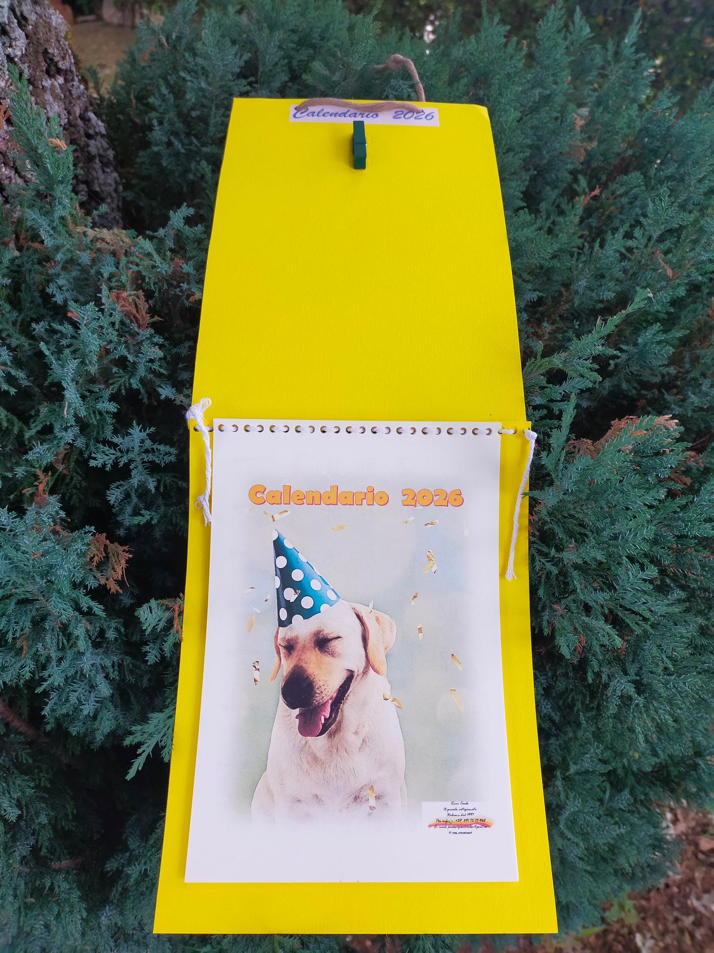 Calendario Cane