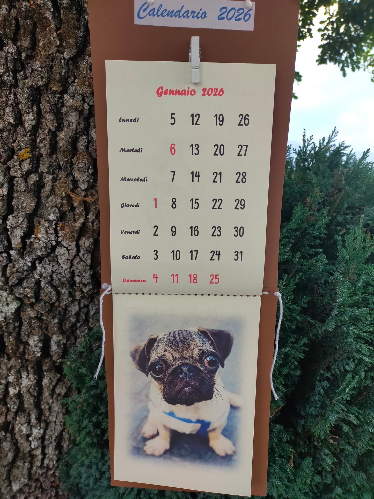Calendario Cane