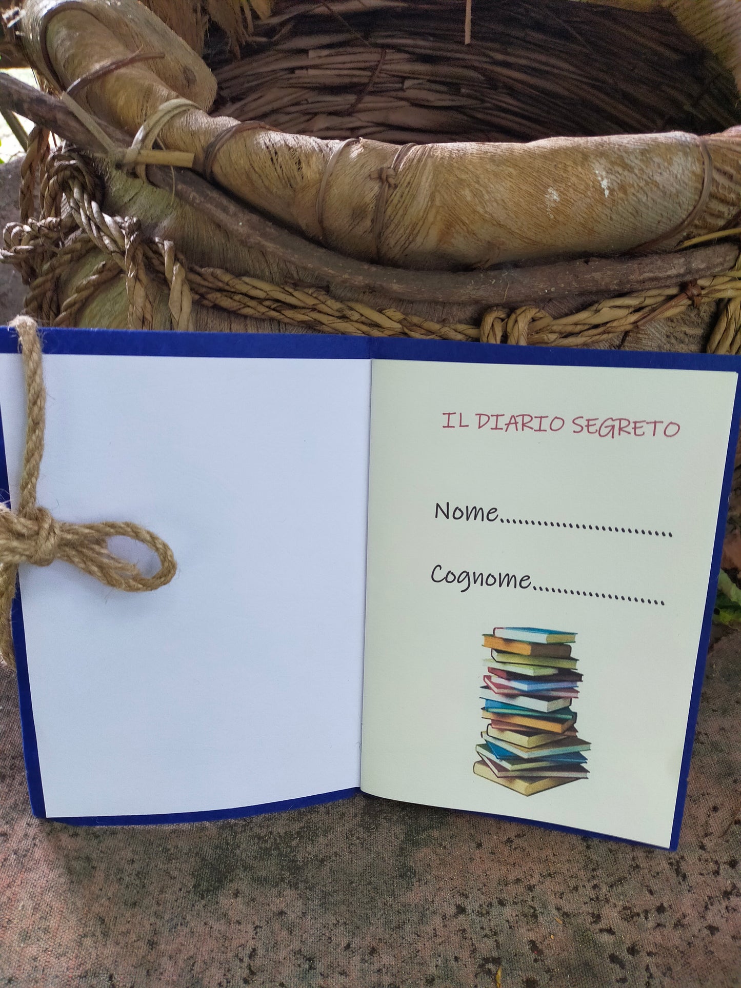 Diario segreto