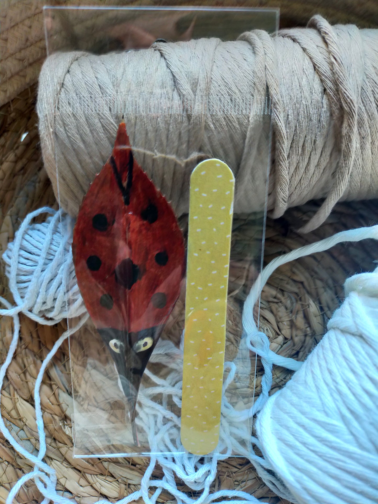 Segnalibro con coccinella portafortuna