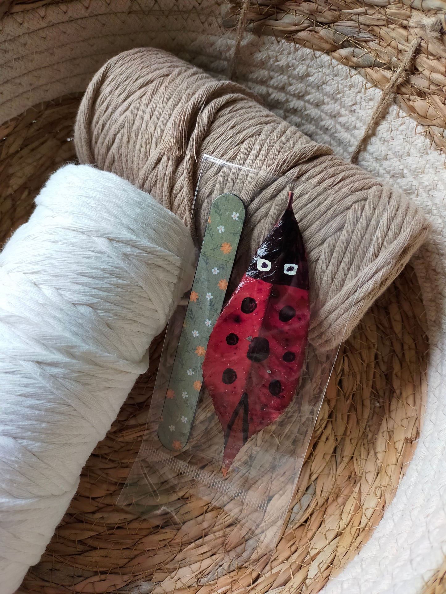 Segnalibro con coccinella portafortuna