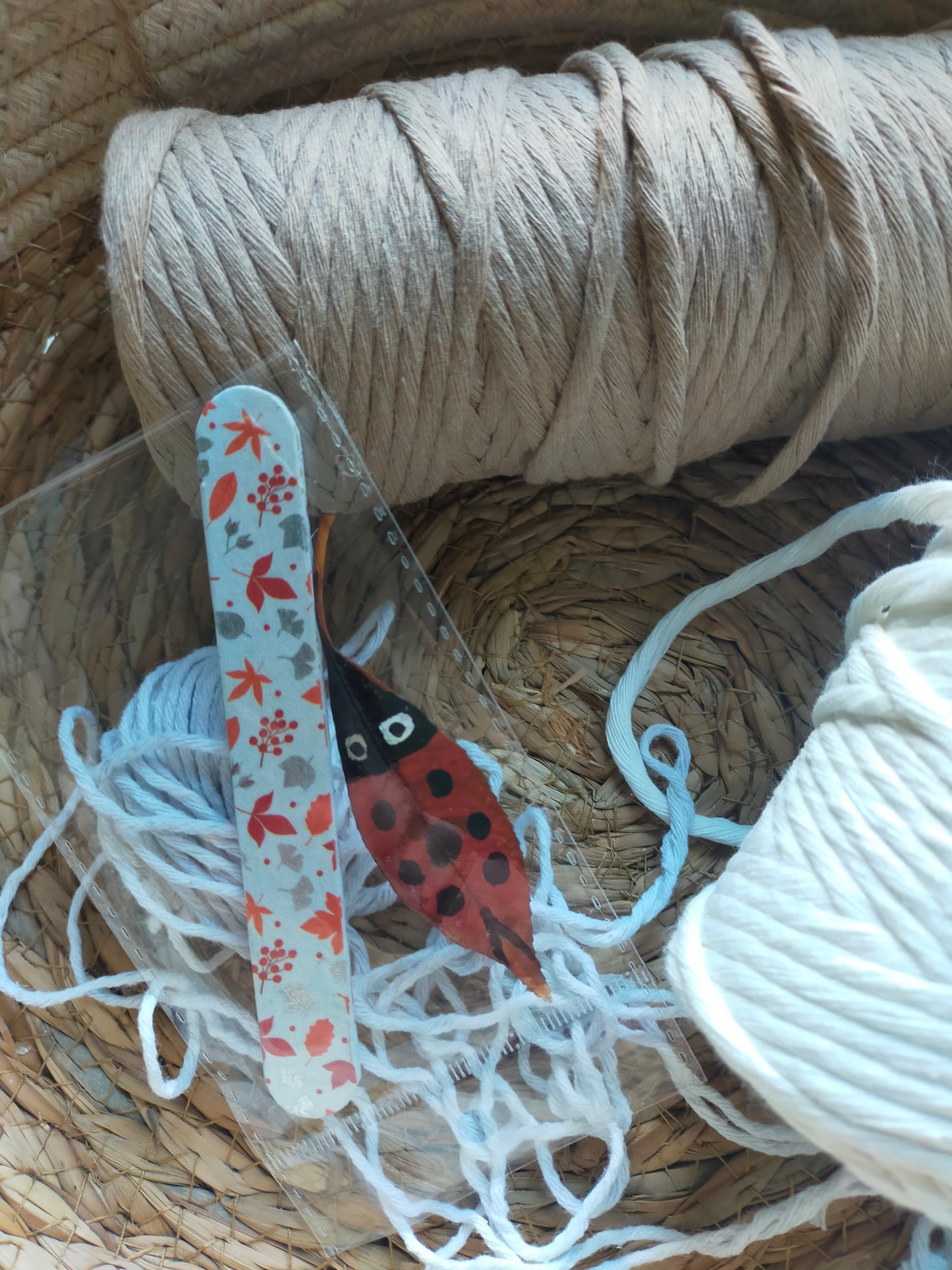 Segnalibro con coccinella portafortuna