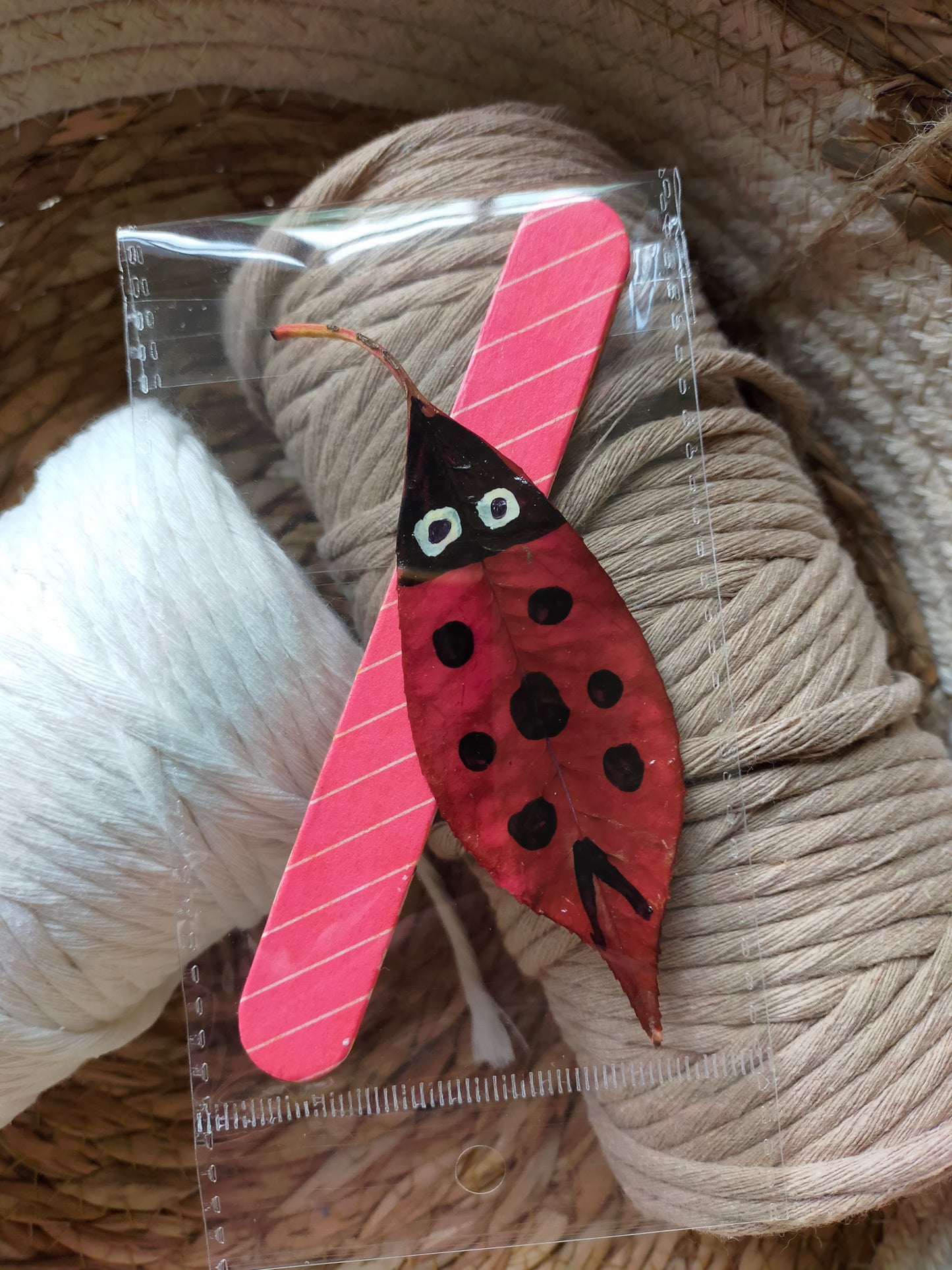 Segnalibro con coccinella portafortuna