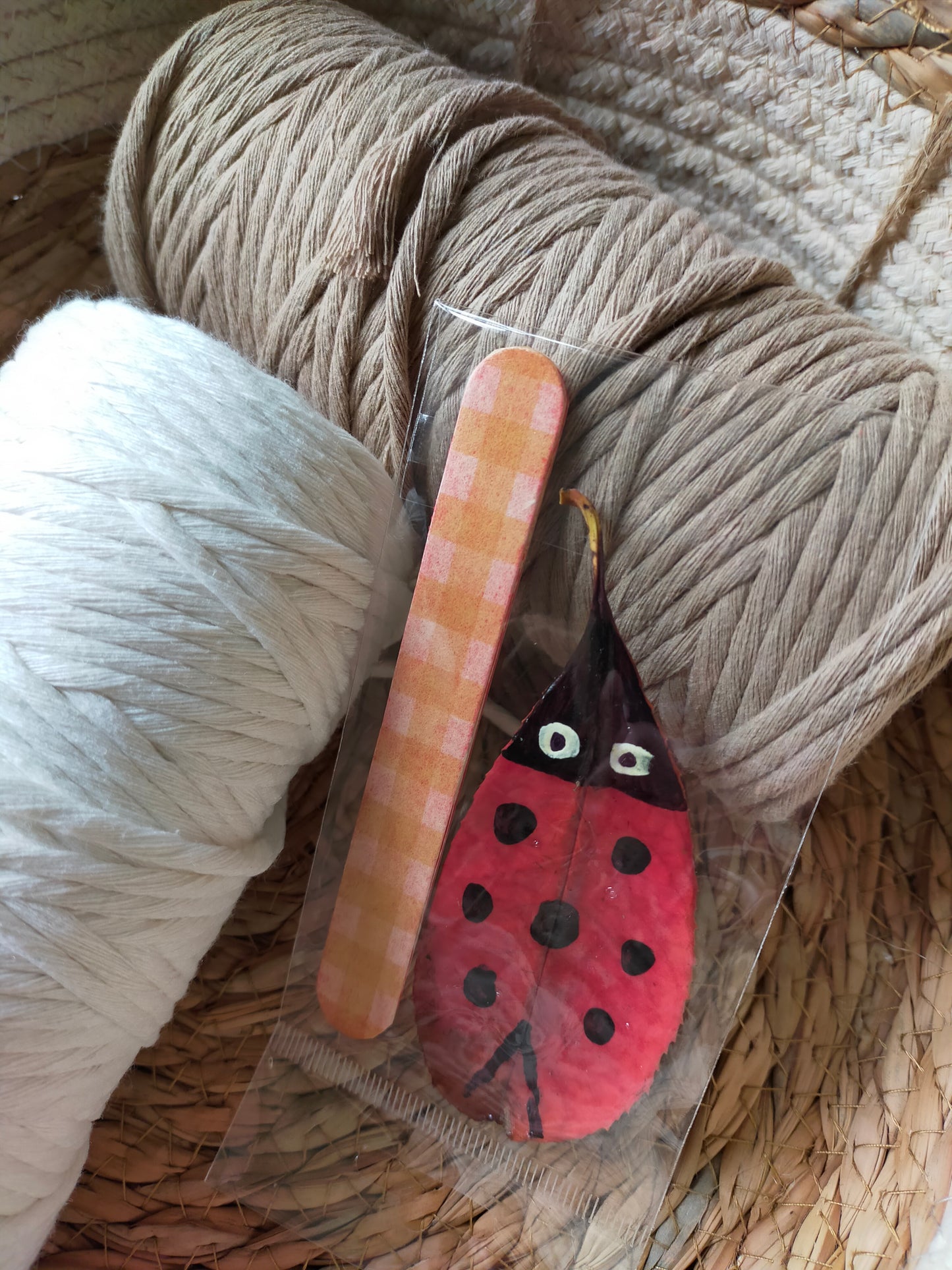 Segnalibro con coccinella portafortuna
