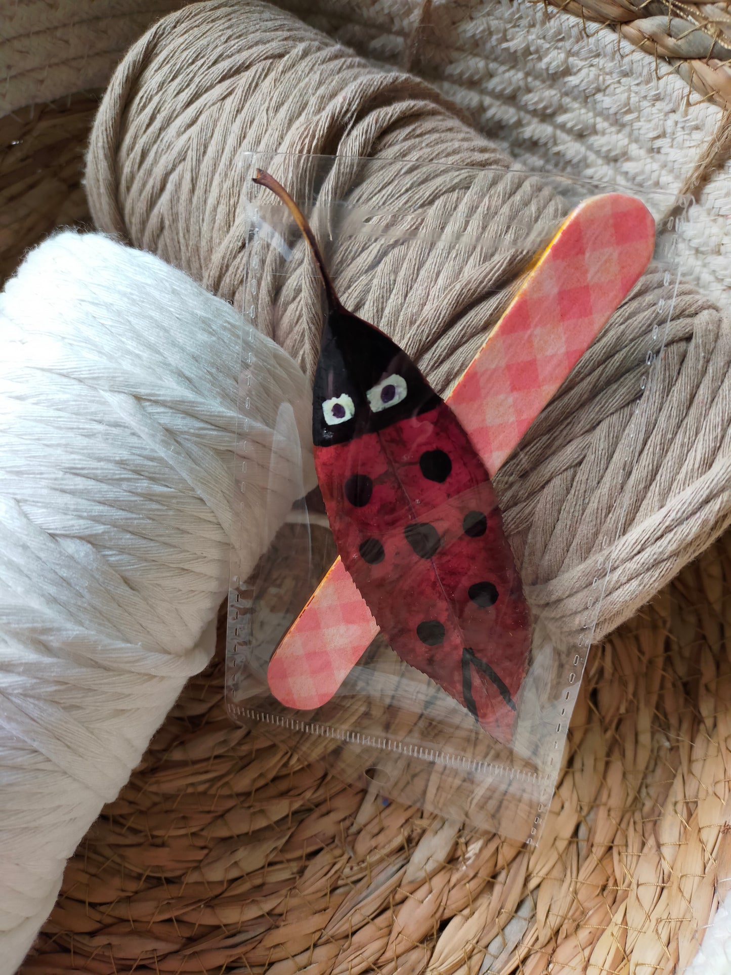 Segnalibro con coccinella portafortuna