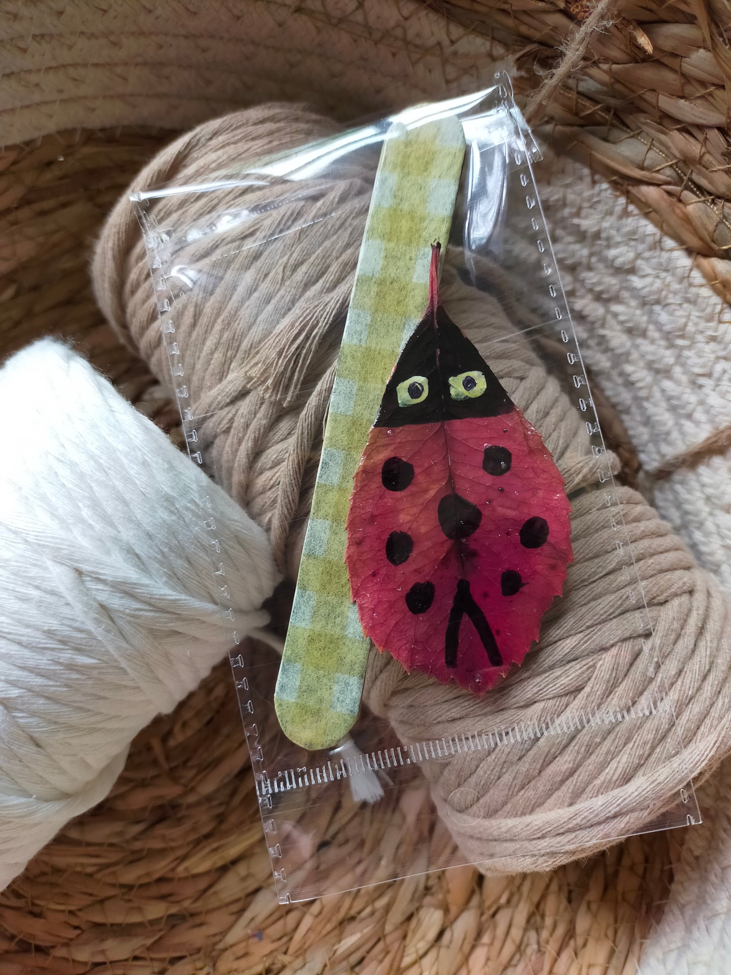Segnalibro con coccinella portafortuna