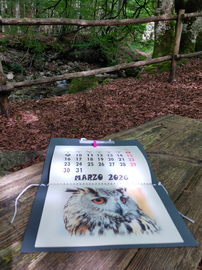 Calendario Animali