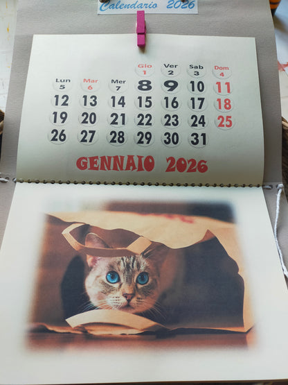 Calendario Gatto