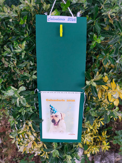 Calendario Cane